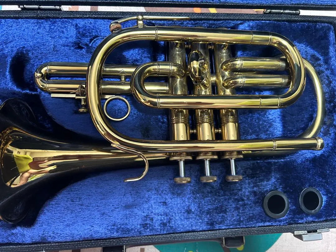 2026年最新】kawai トランペットの人気アイテム - メルカリ