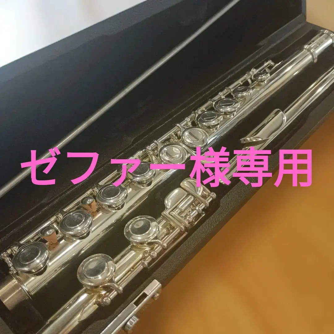 2026年最新】フルート kawaiの人気アイテム - メルカリ