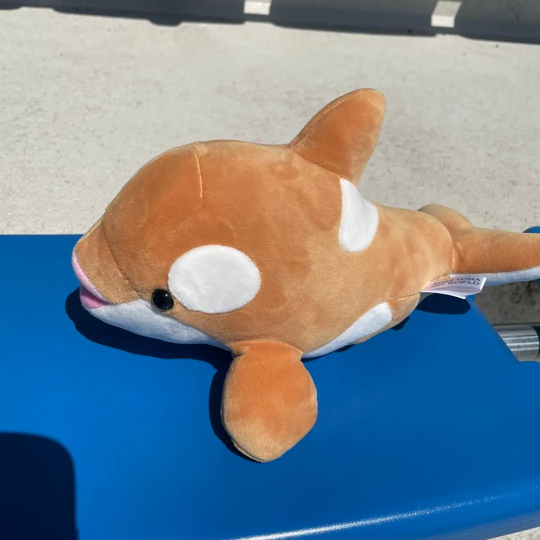 2026年最新】須磨シーワールド オルカくじ フローラルホワイトの人気