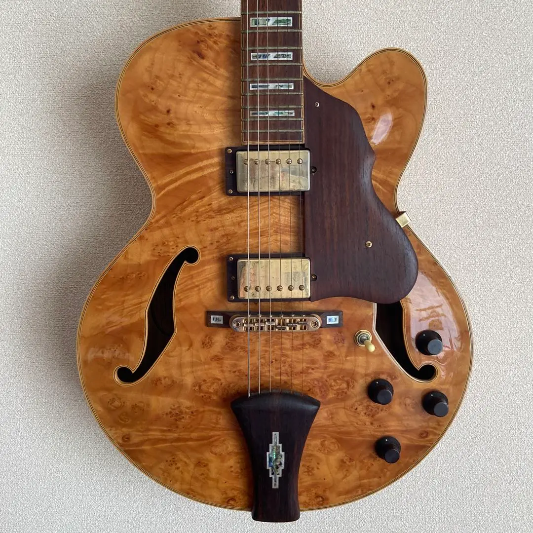 2026年最新】Ibanez AF105の人気アイテム - メルカリ