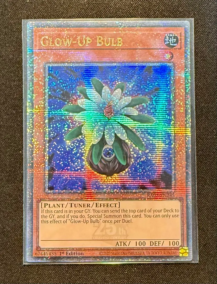 2026年最新】グローアップバルブ 英語の人気アイテム - メルカリ