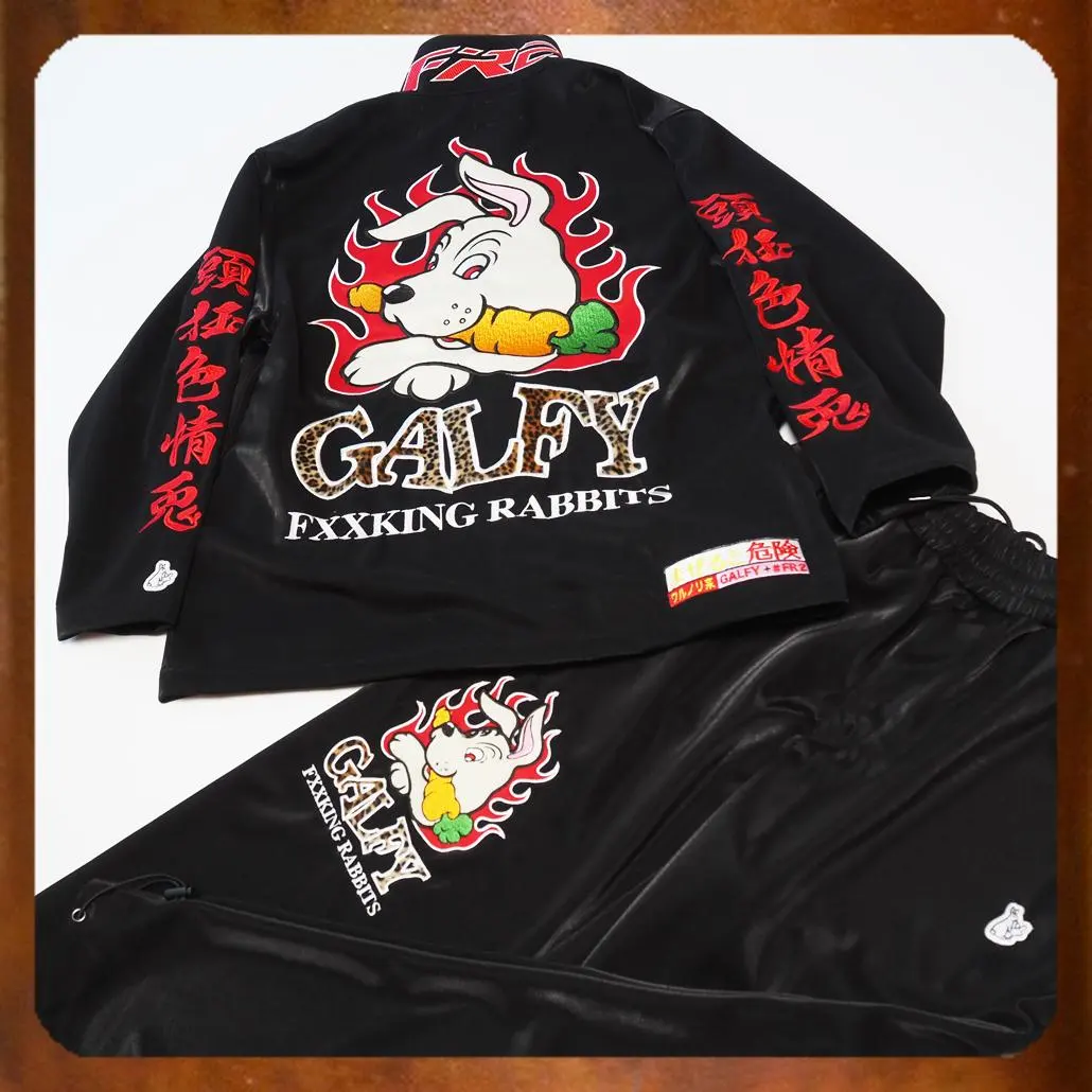 2026年最新】galfy fr2の人気アイテム - メルカリ