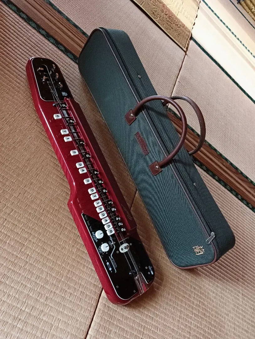 2026年最新】スズキ 大正琴 蘭の人気アイテム - メルカリ