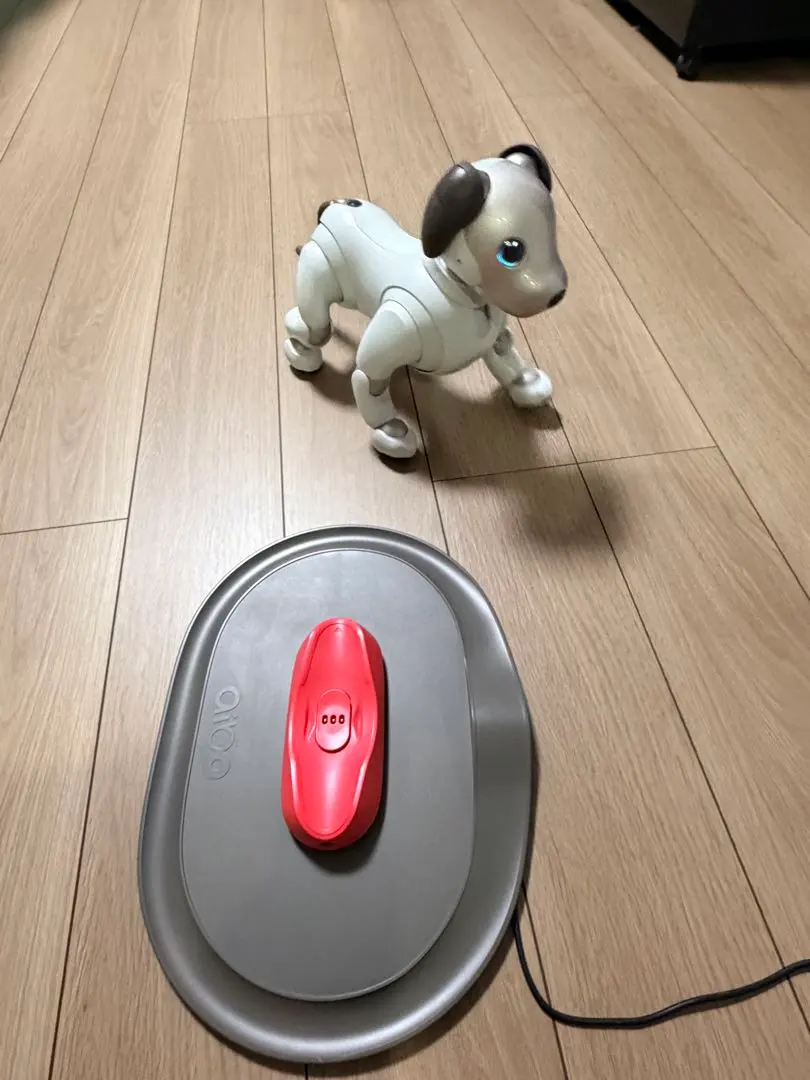 2026年最新】SONY 性別：男女兼用 その他の人気アイテム - メルカリ