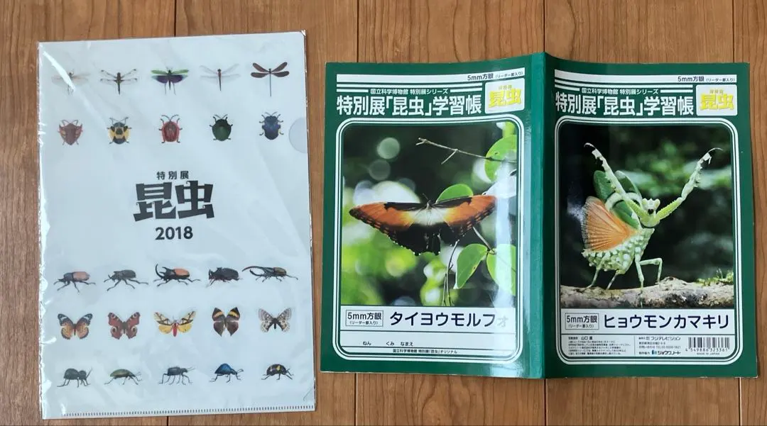2026年最新】特別展 昆虫の人気アイテム - メルカリ