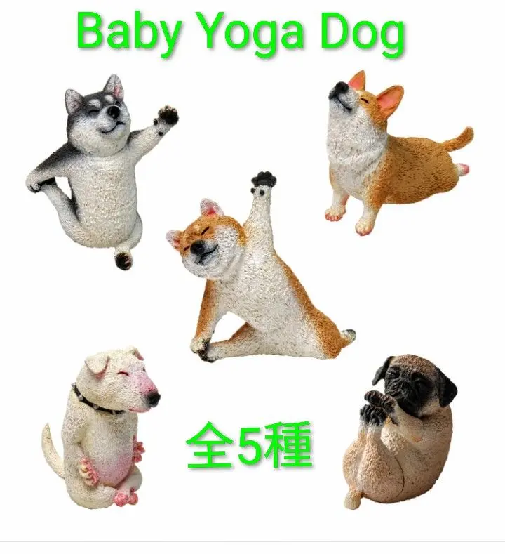 2026年最新】朝隈俊男 パグの人気アイテム - メルカリ