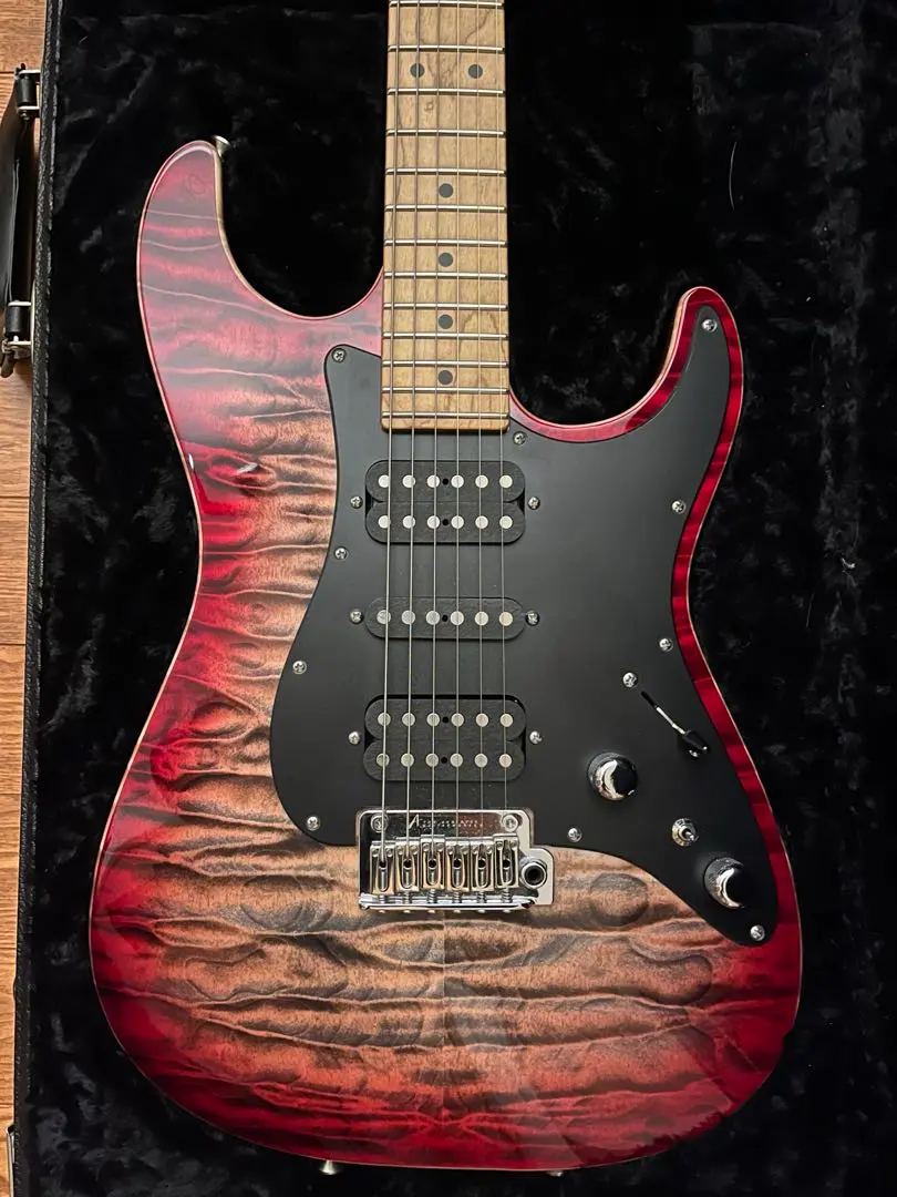 2026年最新】james tyler ピックアップの人気アイテム - メルカリ