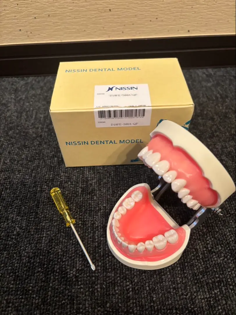 2026年最新】NISSIN顎模型の人気アイテム - メルカリ