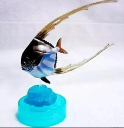 2026年最新】黒潮コメッコの人気アイテム - メルカリ