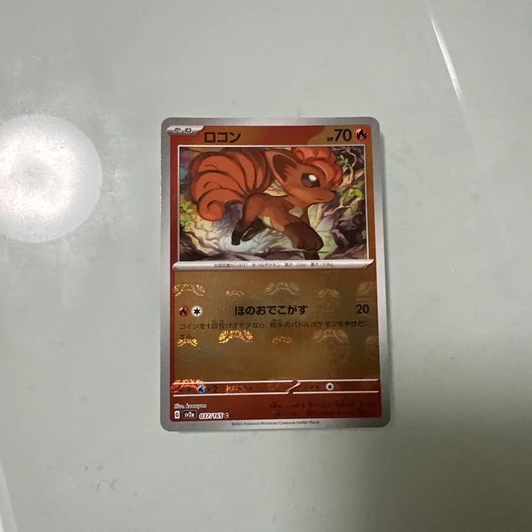 2026年最新】ロコン マスターボールの人気アイテム - メルカリ