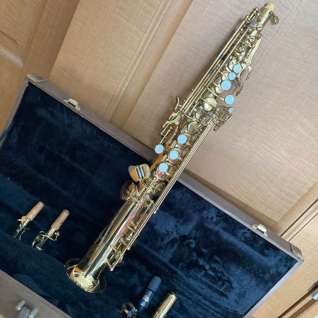 2026年最新】ミネルバ サックスの人気アイテム - メルカリ