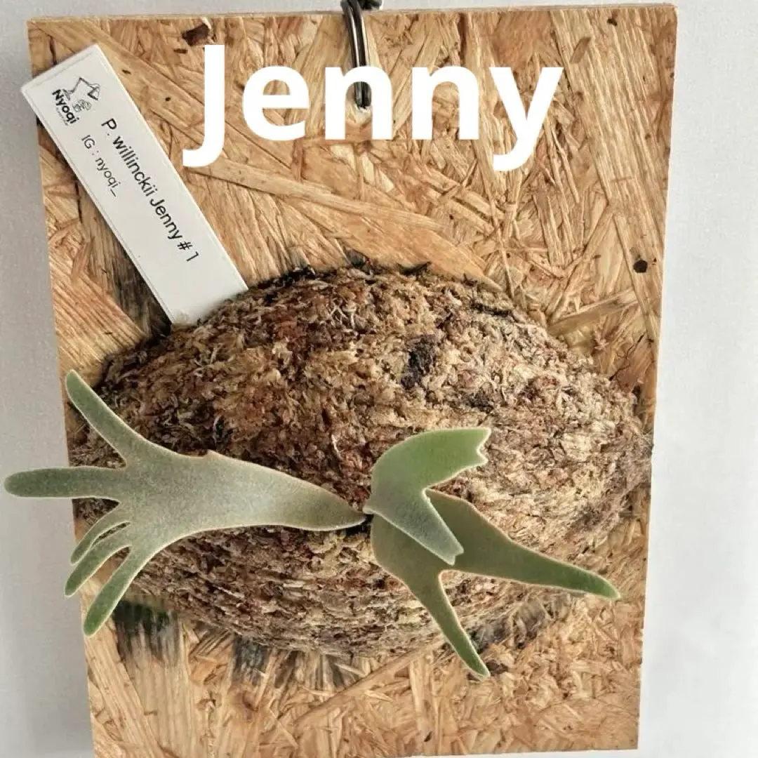 2026年最新】JeNny tcの人気アイテム - メルカリ