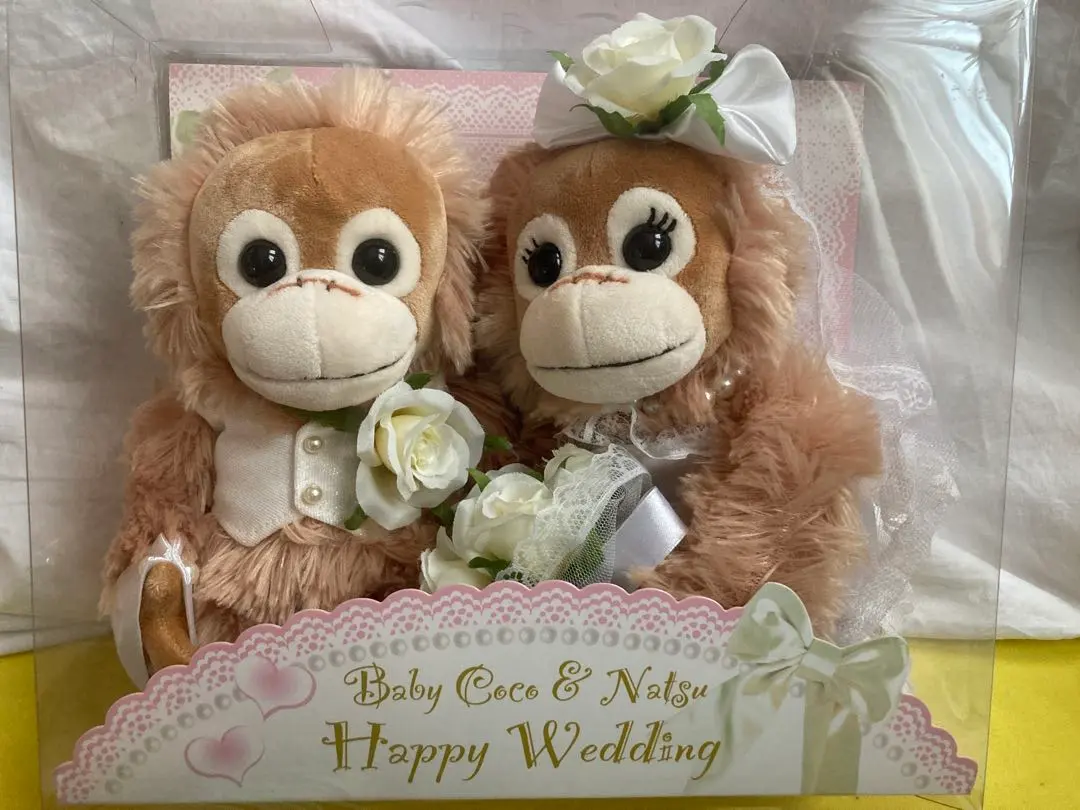 2026年最新】ベイビーココ＆ナツのぬいぐるみの人気アイテム - メルカリ