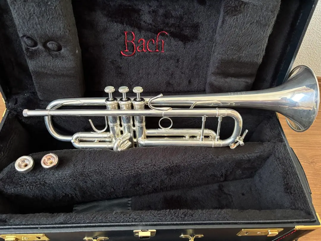 2026年最新】stradivarius bach 37の人気アイテム - メルカリ