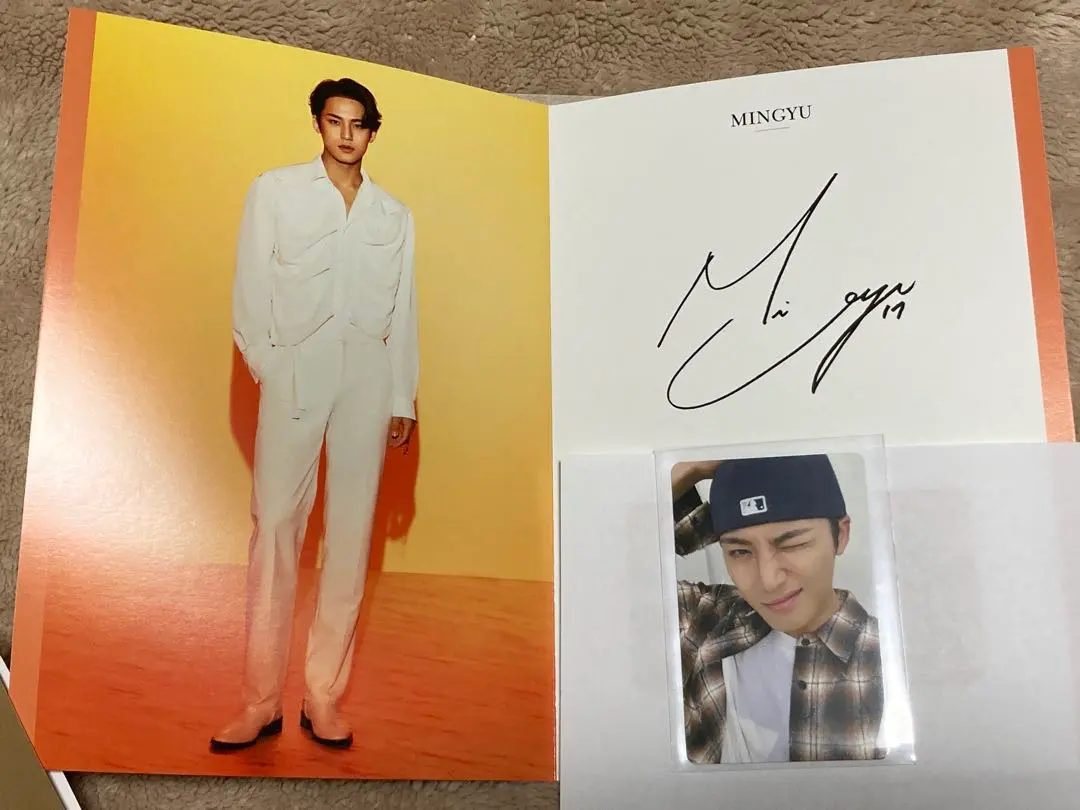 2026年最新】ラピート seventeenの人気アイテム - メルカリ