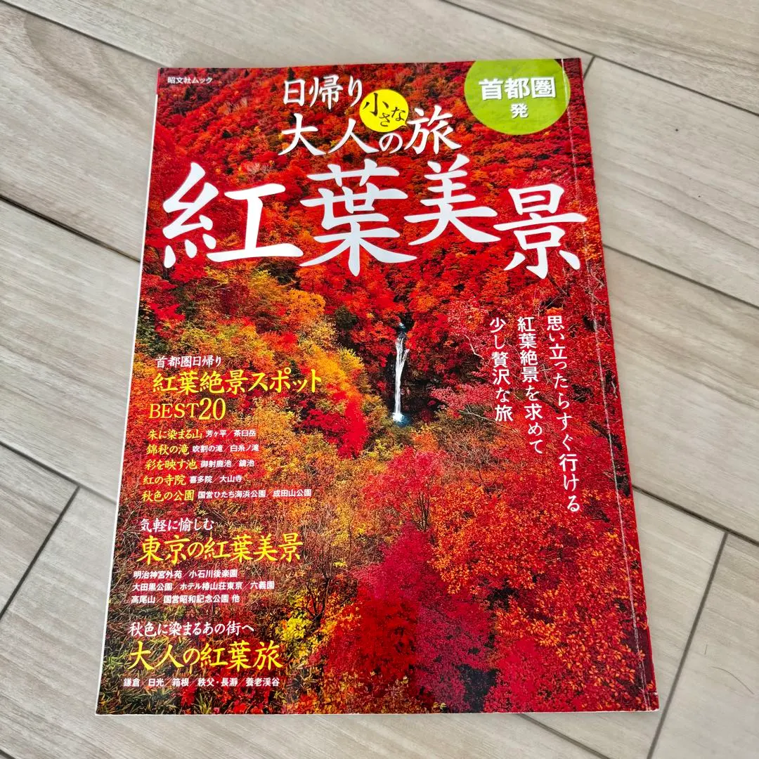 2026年最新】養老渓谷の人気アイテム - メルカリ
