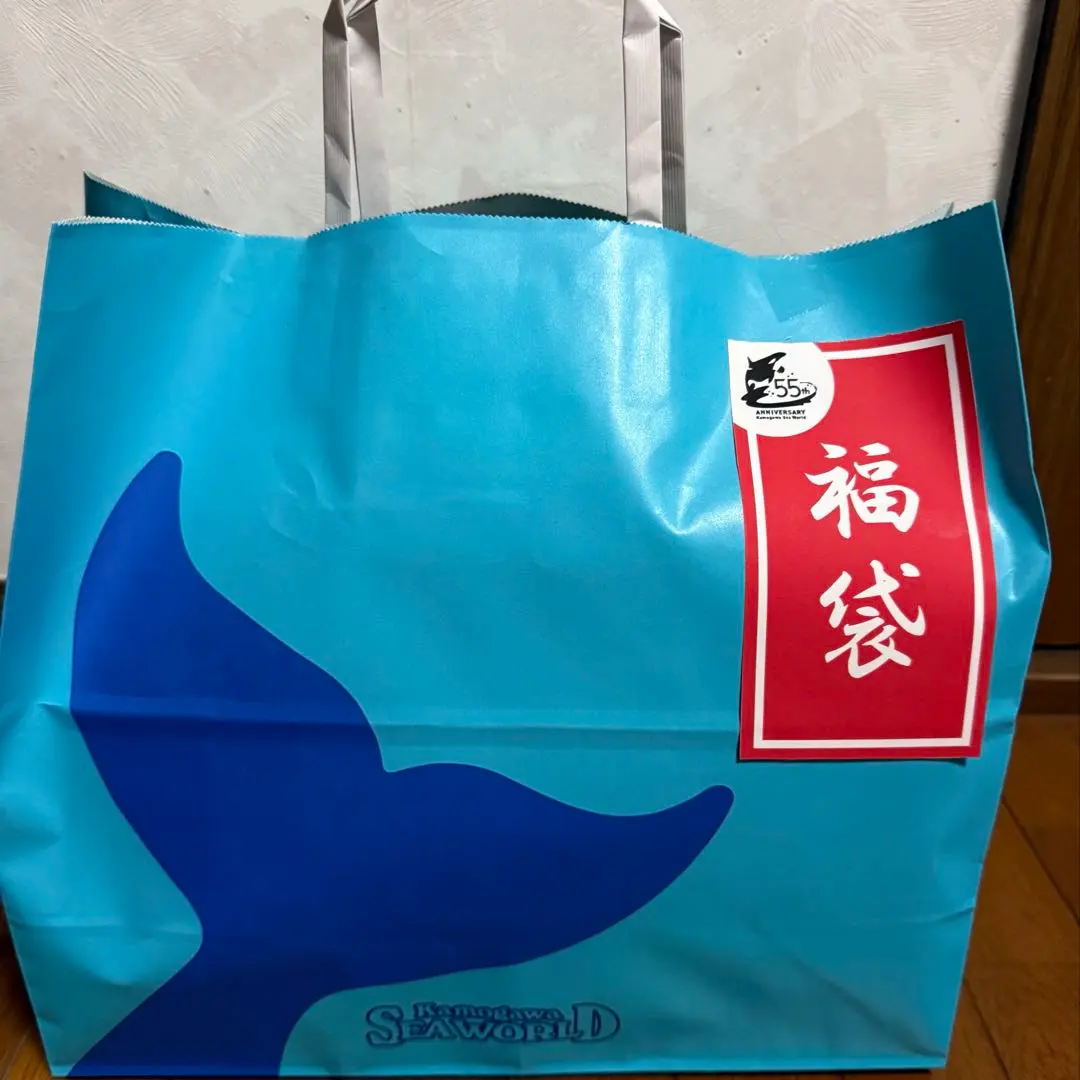 m51545895583_1.jpg?1765707676