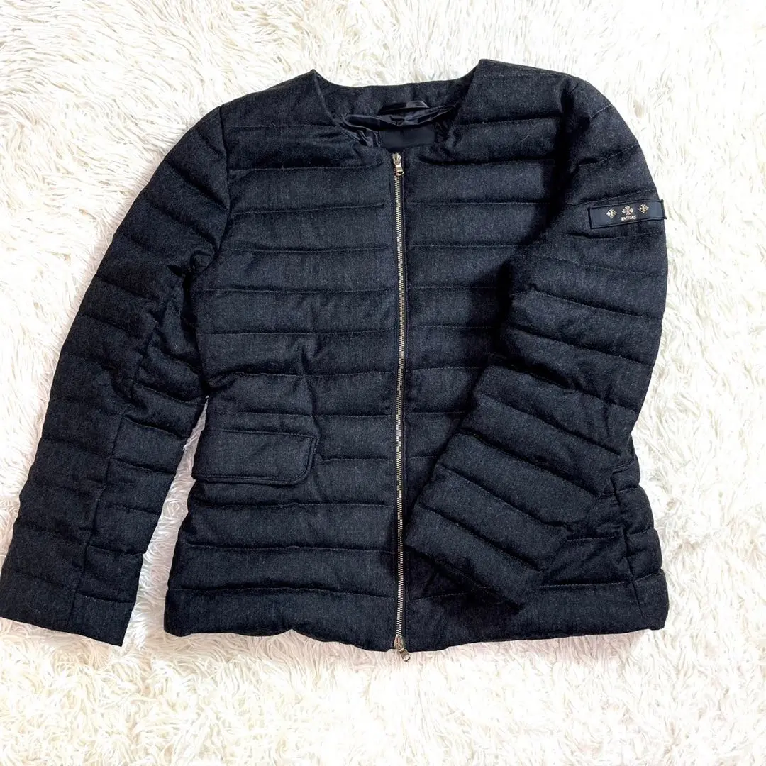 2026年最新】タトラス spinosaの人気アイテム - メルカリ