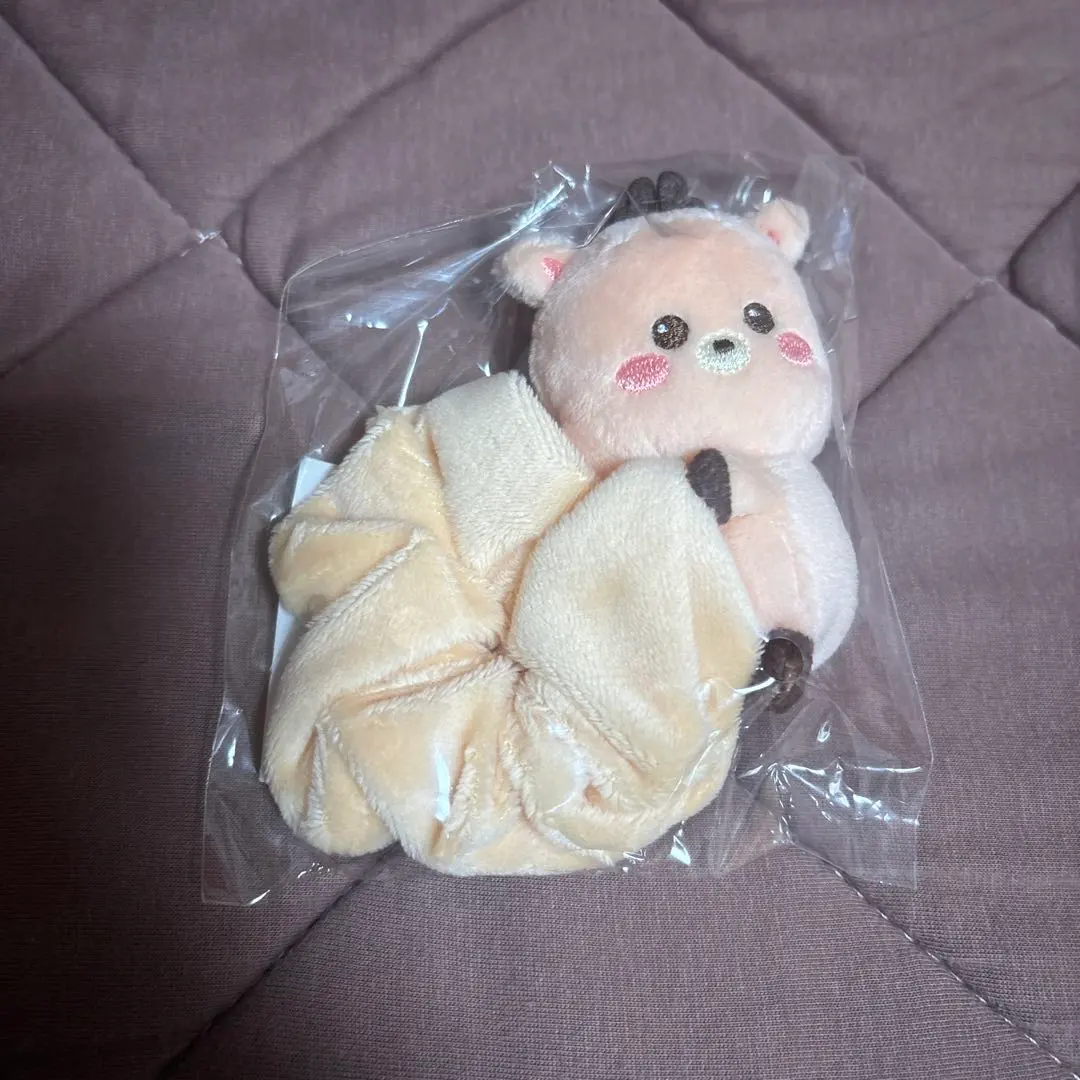 2026年最新】RIIZE ソンチャン シュシュの人気アイテム - メルカリ