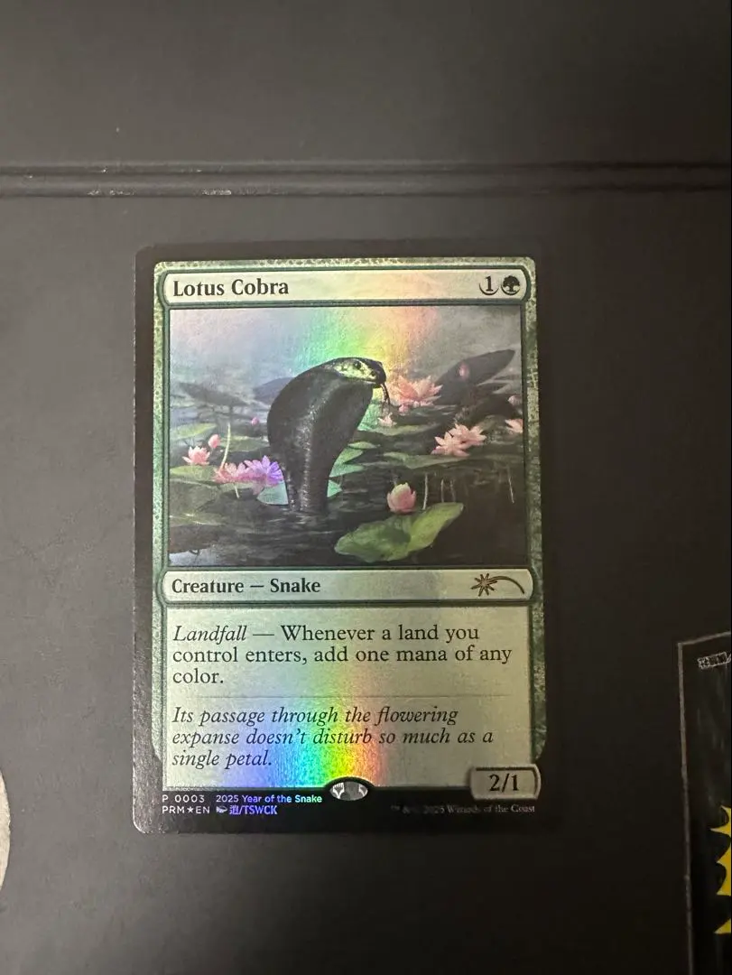 2026年最新】MTG 水蓮のコブラの人気アイテム - メルカリ