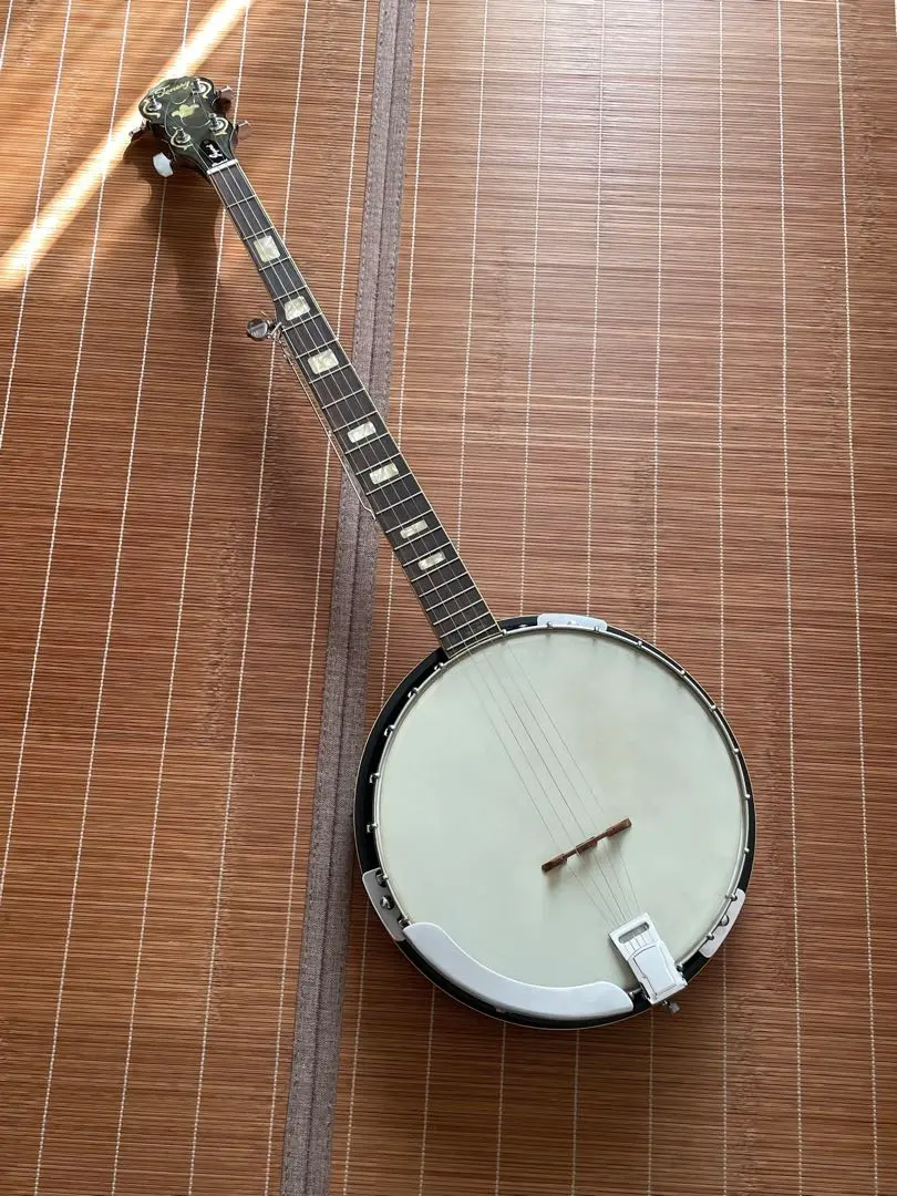 2026年最新】5弦バンジョーの人気アイテム - メルカリ
