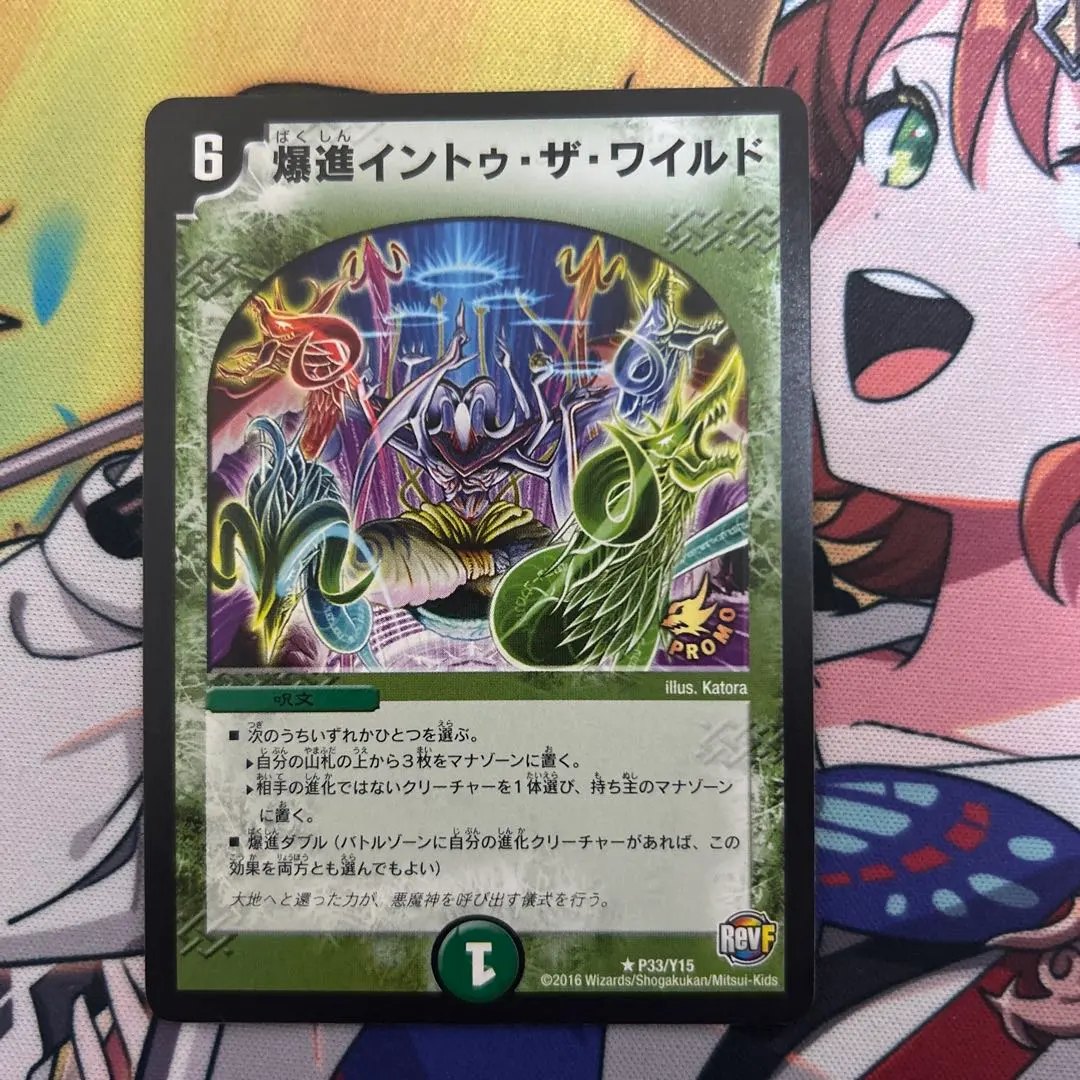 2026年最新】爆進イントゥ・ザ・ワイルド プロモの人気アイテム - メルカリ