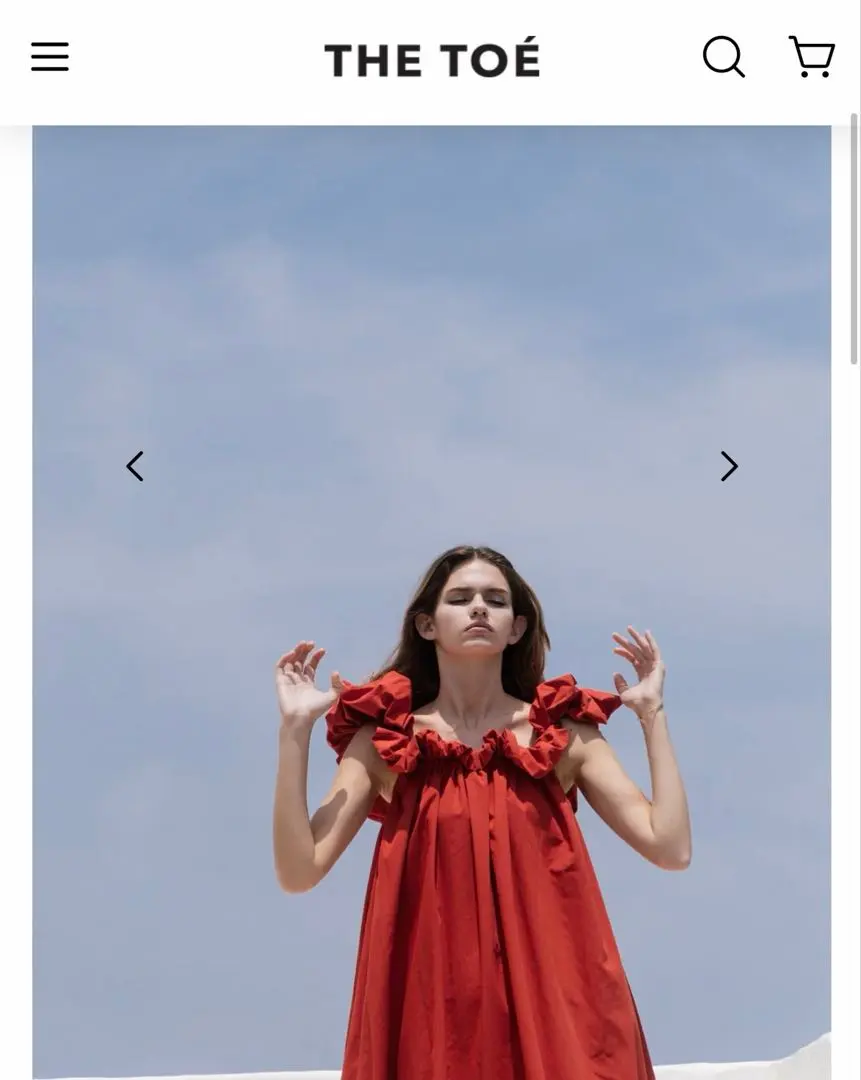 2026年最新】THE toe erie frillsの人気アイテム - メルカリ