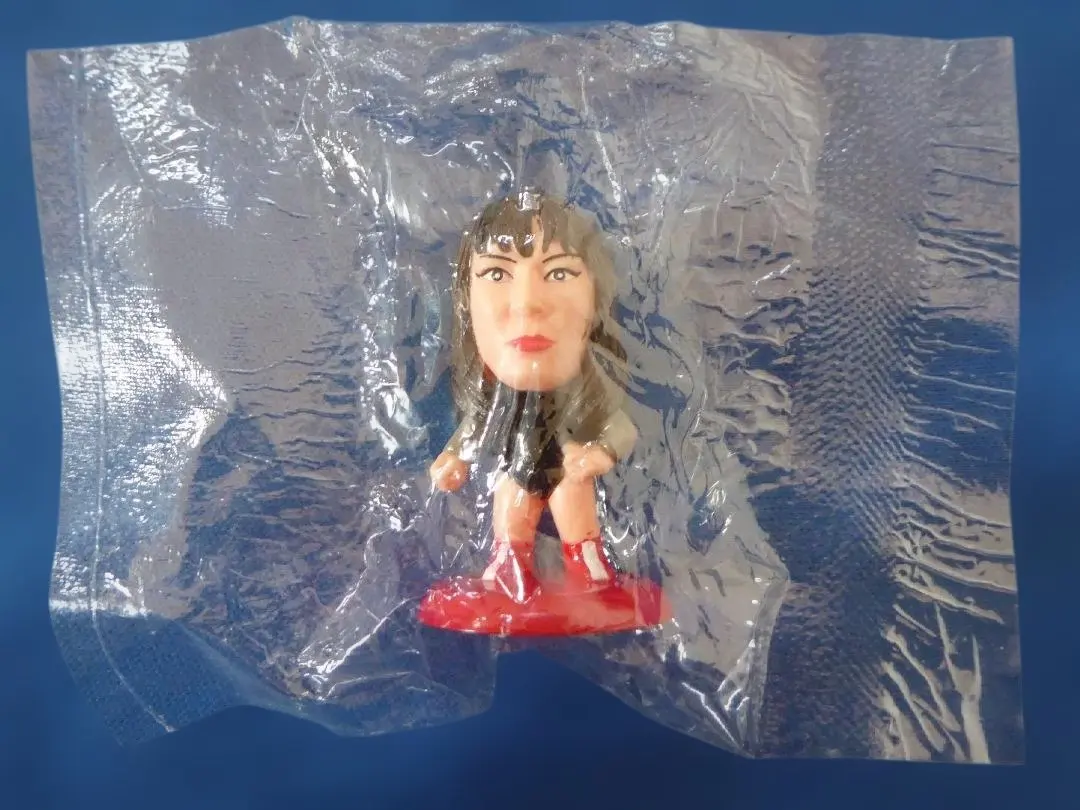 2026年最新】プロ格ヒーローズ 女子の人気アイテム - メルカリ