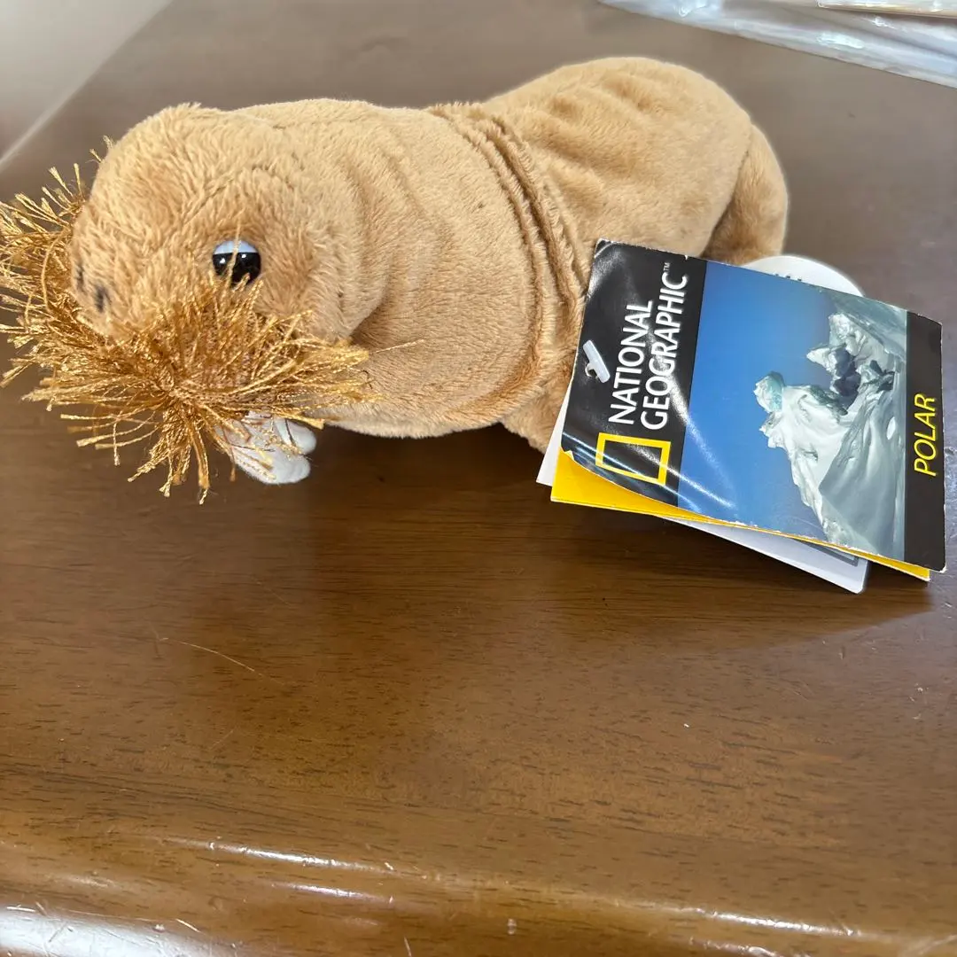 2026年最新】セイウチ牙の人気アイテム - メルカリ