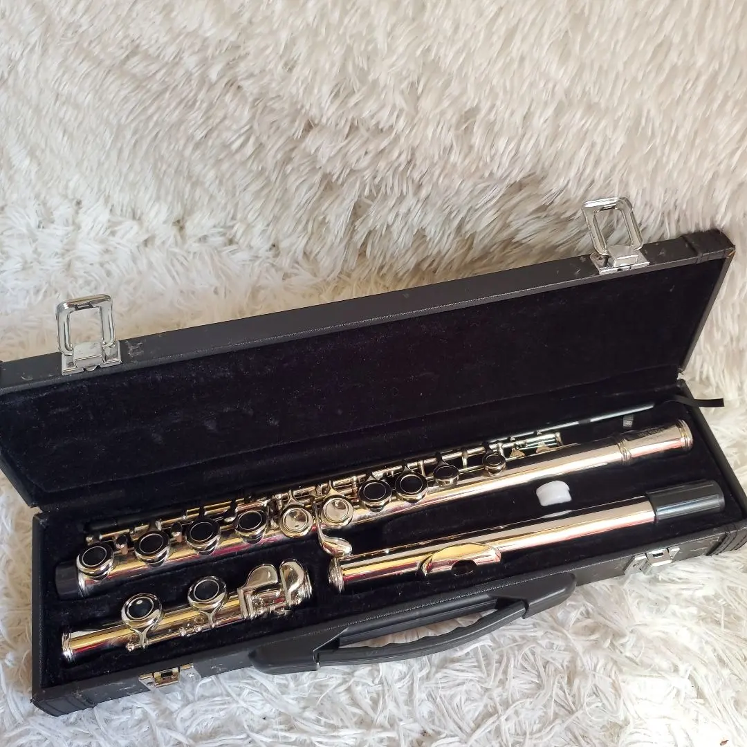 2026年最新】JINXIN フルートの人気アイテム - メルカリ