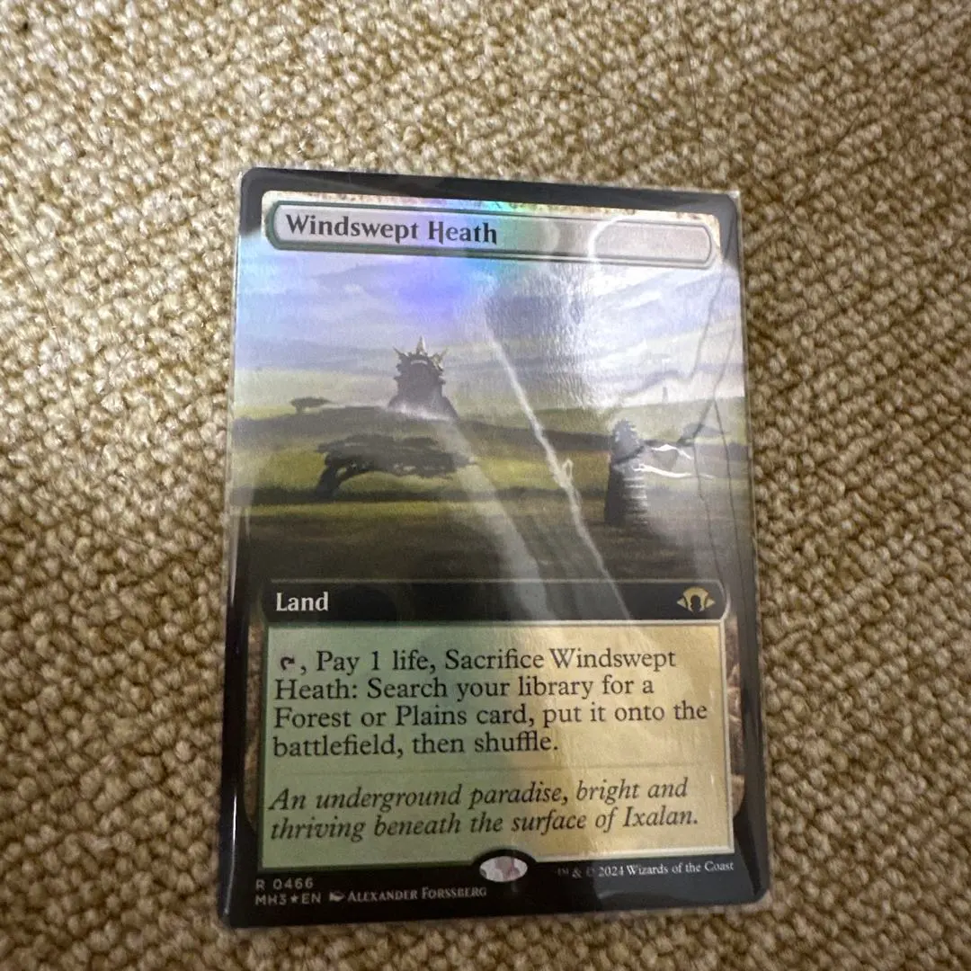 2026年最新】吹きさらしの荒野 FOILの人気アイテム - メルカリ