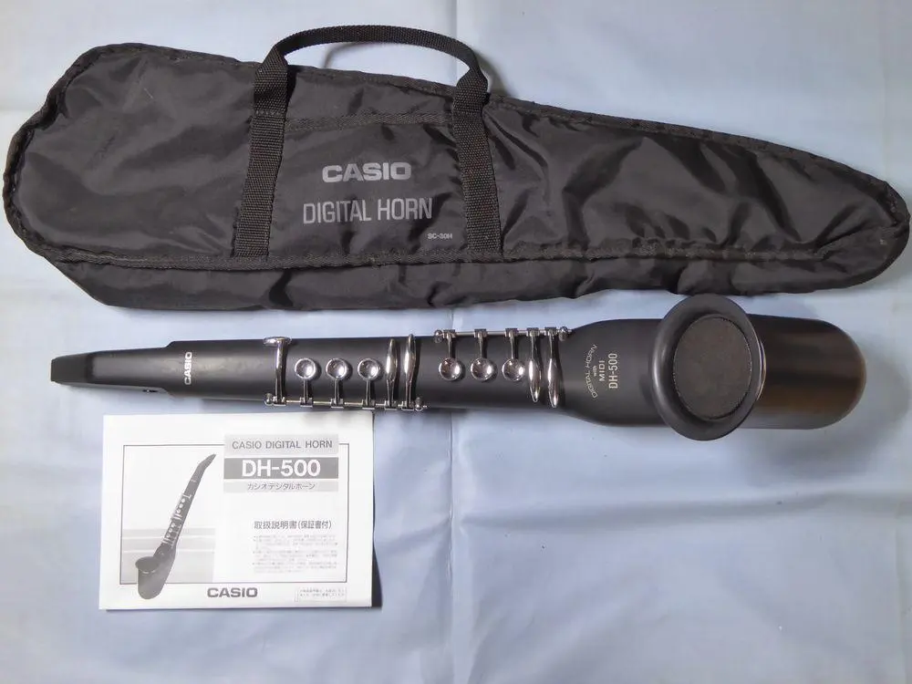 2026年最新】DH-500 CASIOの人気アイテム - メルカリ