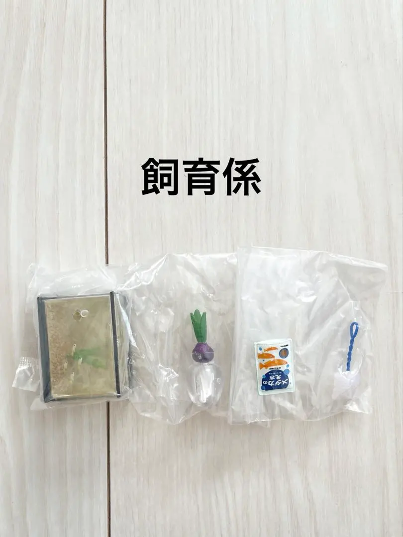 2026年最新】ぷちサンプルシリーズ さわやか4組の人気アイテム - メルカリ