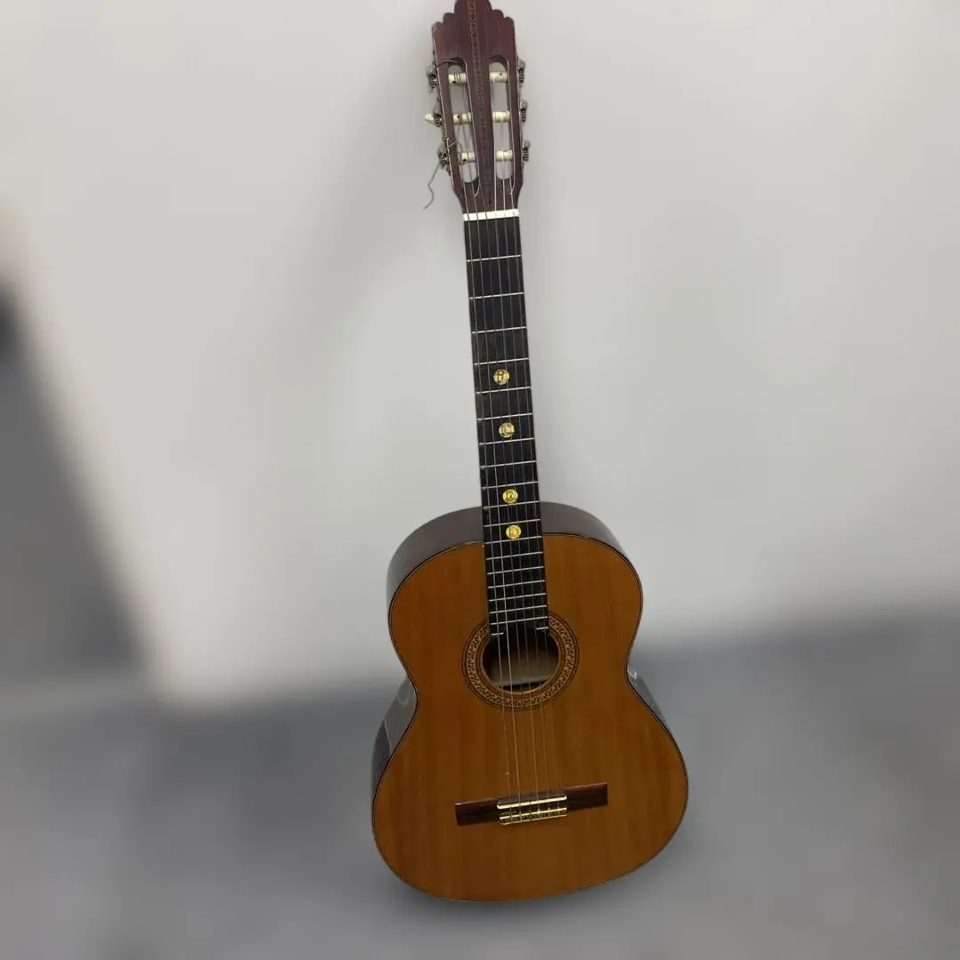 2026年最新】shinano シナノ ギターの人気アイテム - メルカリ