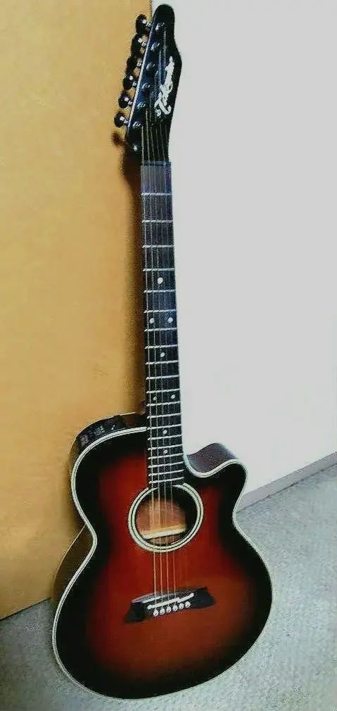 2026年最新】takamine pt 106の人気アイテム - メルカリ