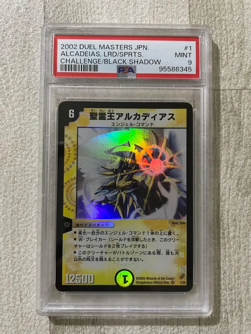 2026年最新】キングアルカディアス psaの人気アイテム - メルカリ