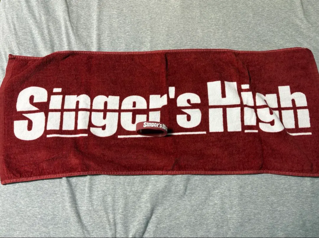 2026年最新】国内アーティスト：シンガーズハイ タオルの人気アイテム