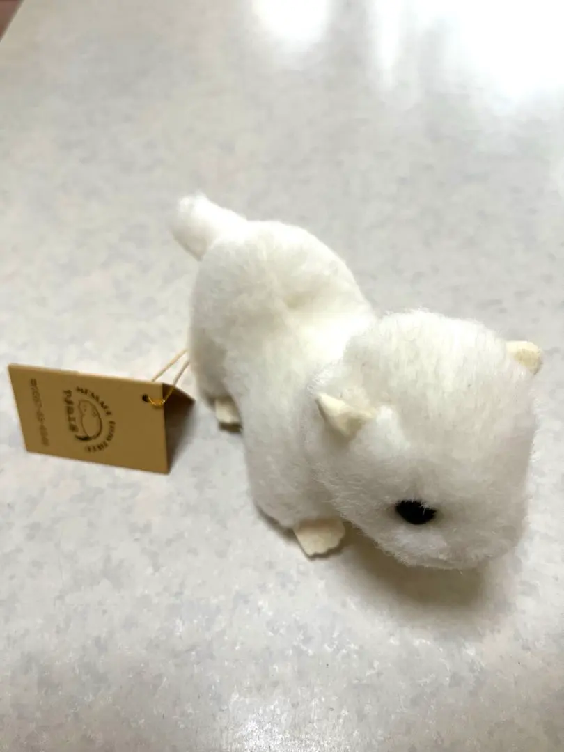 m54503209592_1.jpg?1749537373