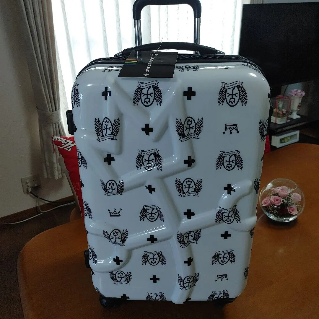 2026年最新】スーツケース カステルバジャック CASTELBAJACの人気