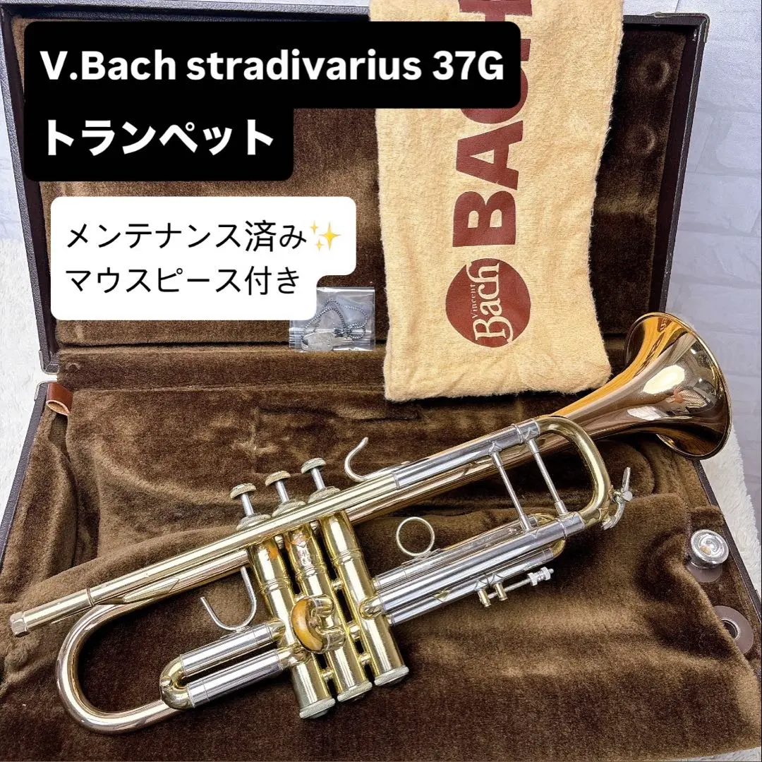 2026年最新】stradivarius bach 37の人気アイテム - メルカリ