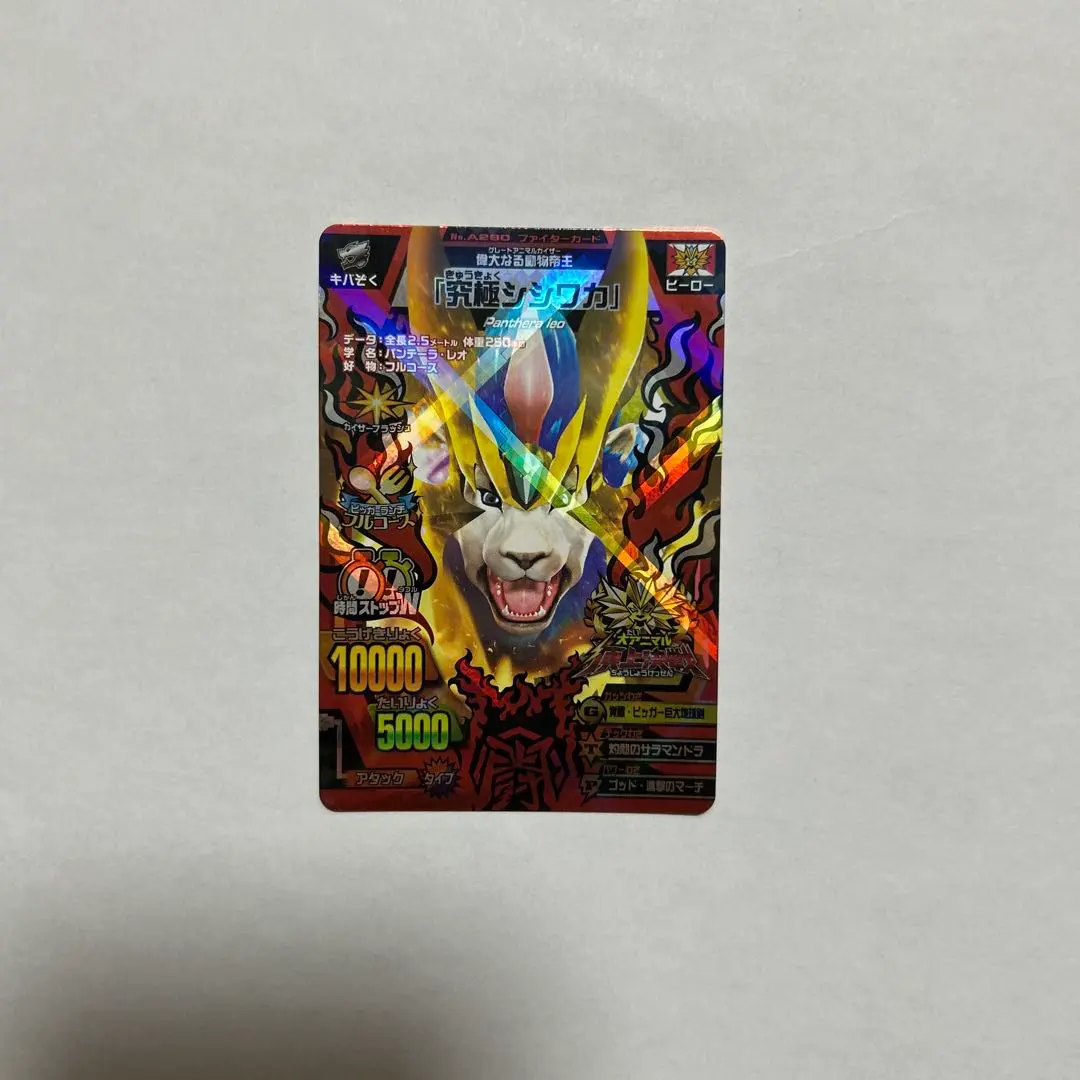 2026年最新】究極 シシワカの人気アイテム - メルカリ