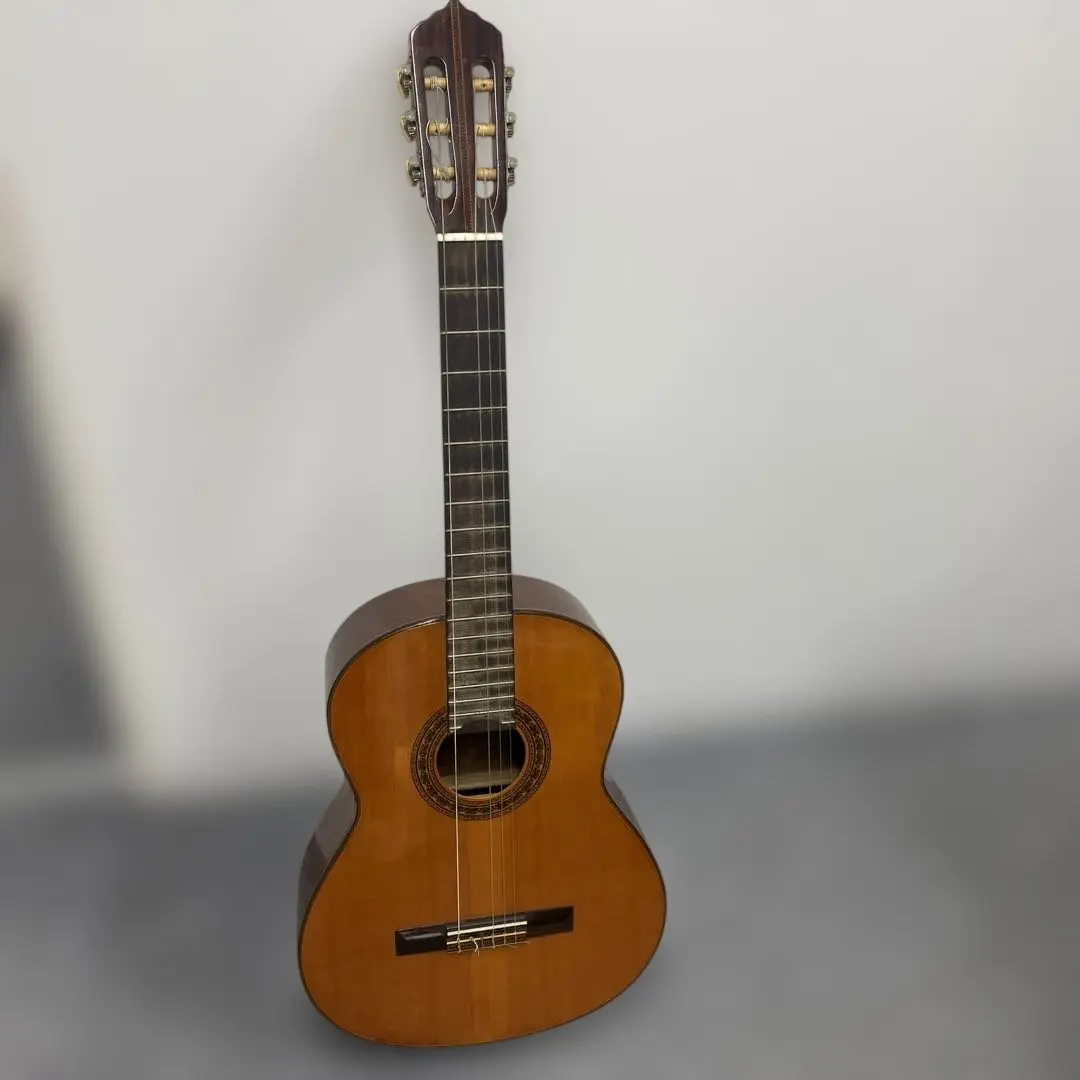 2026年最新】shinano シナノ ギターの人気アイテム - メルカリ