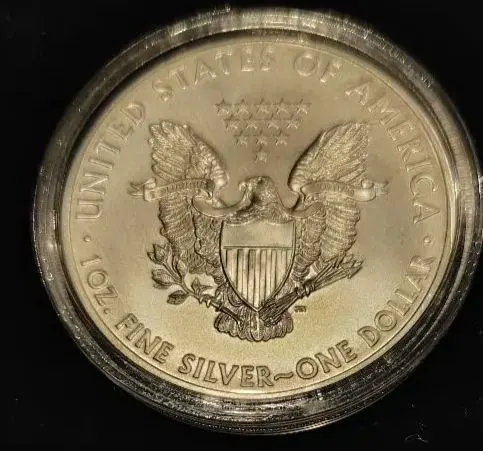 2026年最新】メイプルリーフ銀貨 2021の人気アイテム - メルカリ