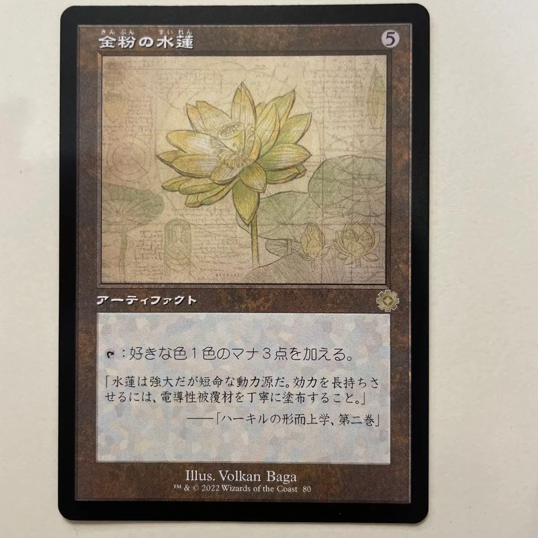 2026年最新】金粉の水蓮の人気アイテム - メルカリ