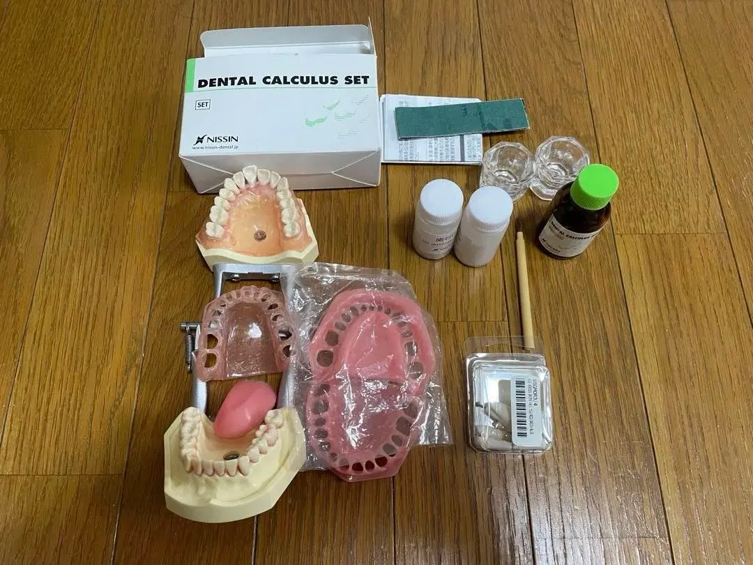 2026年最新】顎模型 ニッシンの人気アイテム - メルカリ