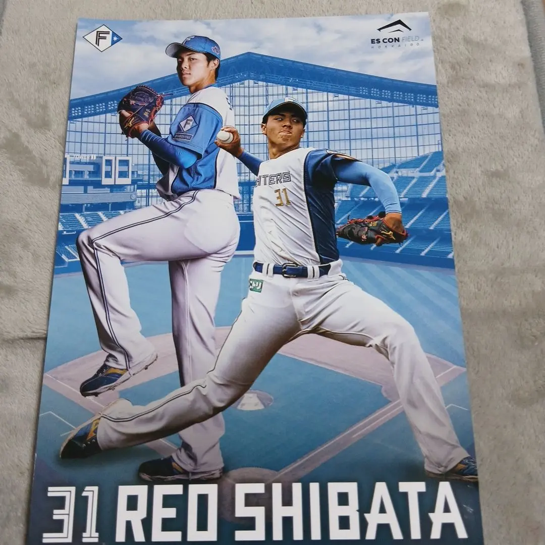 2026年最新】日本ハム 大谷 観戦証明書の人気アイテム - メルカリ