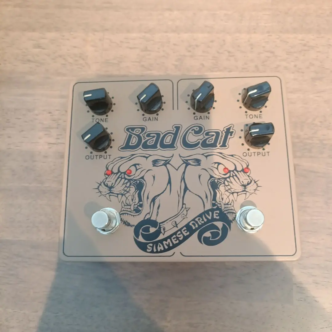 2026年最新】BAD CAT SIAMESE DRIVEの人気アイテム - メルカリ