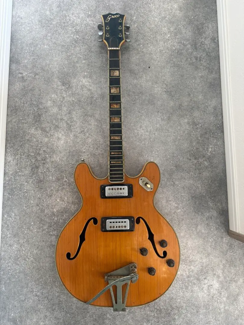 2026年最新】Greco アコースティックギターの人気アイテム - メルカリ
