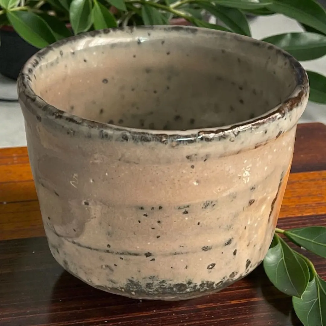 2026年最新】波多野善蔵の人気アイテム - メルカリ