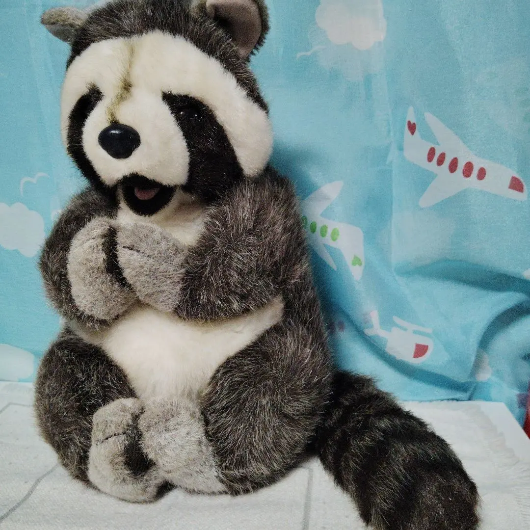 2026年最新】ファースト ぬいぐるみ アライグマの人気アイテム - メルカリ